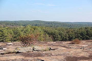 View from Arabia Mountain, Sept 2017.jpg
