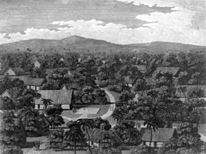 View of part of the town of Pelew cph.3b32619