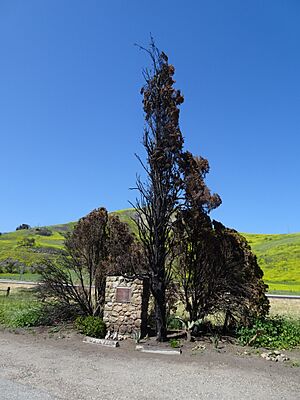 View of the Santa Gertrudis Asistencia Memorial