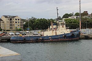Wandillatug.jpg