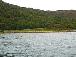 Wee beach at the mouth of the Allt Camhna - geograph.org.uk - 970786.jpg