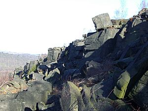 Wharncliffe Crags 3