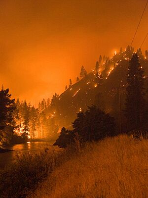 2012 Springs Fire