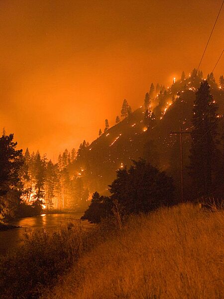 2012 Springs Fire