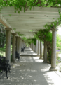 2017-08-18 1536 Arbor at Maymont's Italian garden, 2006