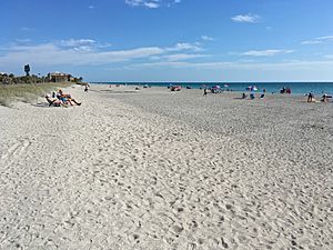 2017 Sarasota Turtle Beach at Siesta Key 1 FRD 9601