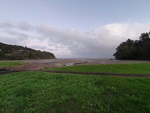 20220731 173926 Titirangi Beach