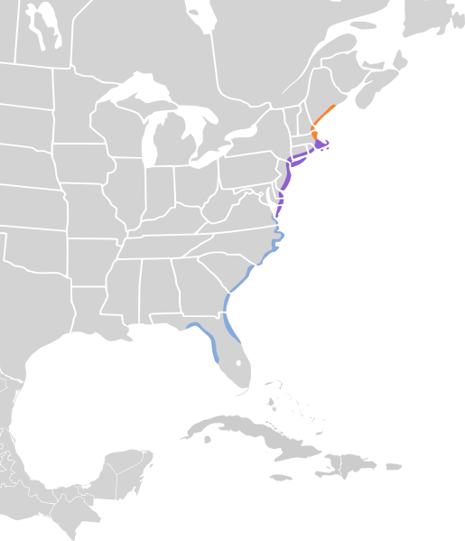 Ammospiza caudacuta map