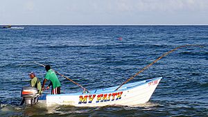 Artisanal Fishing - Tobago, West Indies