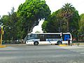 Autobús de RUTA cruzando la 11 sur en Puebla