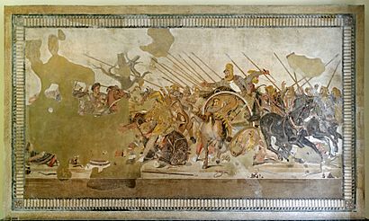Battle of Issus mosaic - Museo Archeologico Nazionale - Naples.jpg