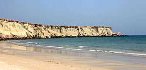 Beach Qeshm Island.jpg