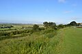 Belton Hills 11