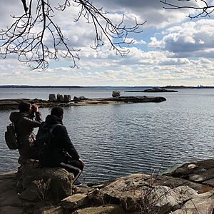 Birding in Pelham Bay Park