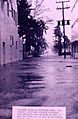 Biscayneblvd1960donna flooding