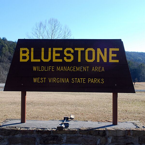 Bluestone Wildlife Management Area - Sign-square