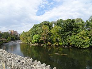 Brandywine Park River