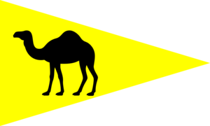 Burgee of the Rock Sailing and Waterski Club