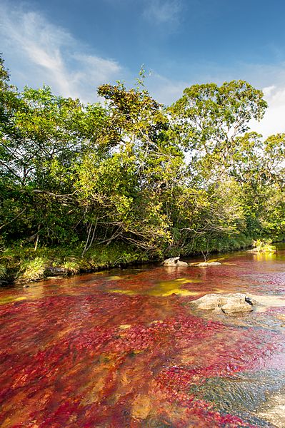 Caño Cristales 01