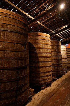 Cachaça barrels at Ypióca's museum 1