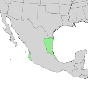 Caesalpinia mexicana range map 2.png