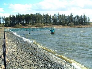 Cameron Reservoir, East dam - geograph.org.uk - 152846
