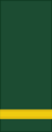 Canadian Army (sleeves) OF-1a