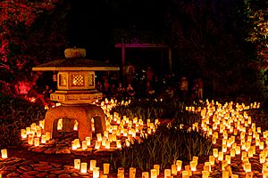 Canberra Candle Festival 2016 (203914161)