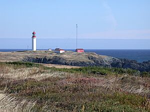 Cape race nfld