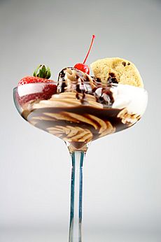 Chocolate Ice Cream Sundae (5076304681)