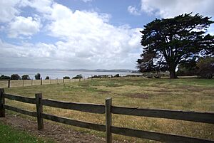 Churchill Island (11849539513)