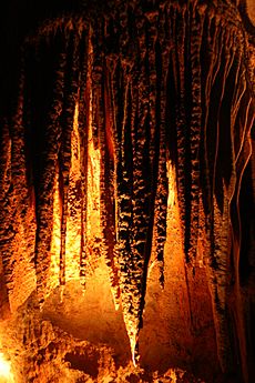 Cueva del Rey Salomon-Tasmania-Australia10