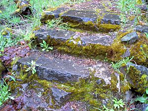 Dead Indian Soda Springs Steps