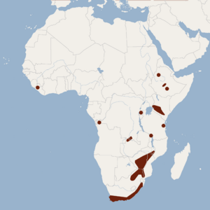 Distribution of Myotis tricolor.png