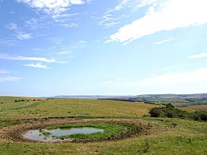 Ditchling beacon - geograph.org.uk - 76708