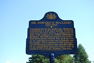 Dr Edward H McCleery marker