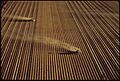 FERTILIZING IN THE IMPERIAL VALLEY. (FROM THE DOCUMERICA-1 EXHIBITION. FOR OTHER IMAGES IN THIS ASSIGNMENT, SEE FICHE... - NARA - 553048