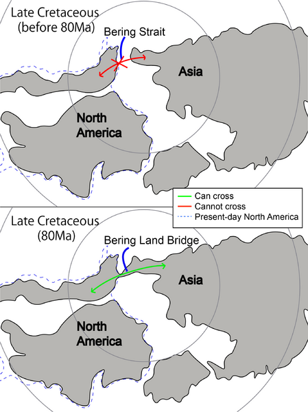 Geodispersal at Bering Land Bridge