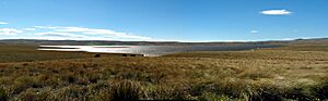 Great Moss Swamp