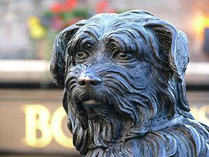 Greyfriars Bobby 07