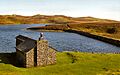 Gurnal Dubs - geograph.org.uk - 2108687