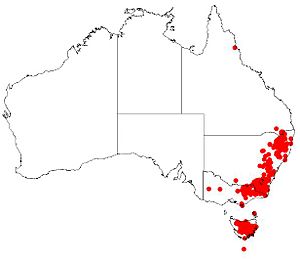 Hakea microcarpa DistMap.jpg