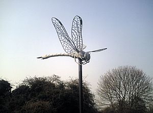 Hounslow Heath Dragonfly Sculpture