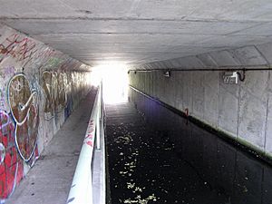Huddersfield Narrow Canal tunnel under Wakefield Road RLH