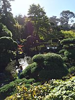 Japanese Tea Garden 3 San Francisco