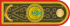 Kazakhstan-Army-OF-10-01 (horizantal).svg
