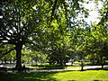Lafayette Square DC