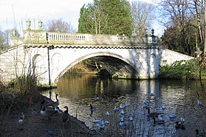 Lake in Chiswick House grounds