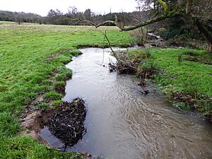 Lea Meadows 12