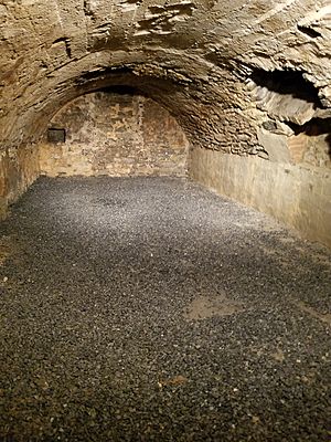 Light's Fort - Arched Cellar - 6-14-2019
